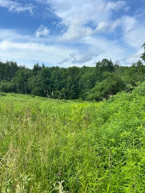 85 Crawford Road, Hamden, New York 13782, Hamden, New York 13782, ,Land,For Sale,85 Crawford Road, Hamden, New York 13782,R1619396