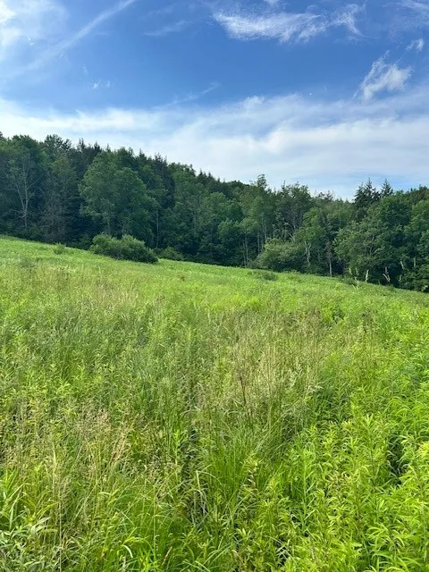 85 Crawford Road, Hamden, New York 13782, Hamden, New York 13782, ,Land,For Sale,85 Crawford Road, Hamden, New York 13782,R1619396