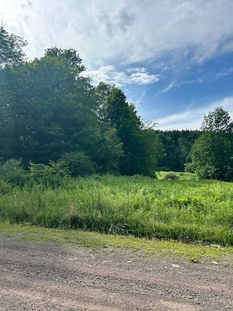 85 Crawford Road, Hamden, New York 13782, Hamden, New York 13782, ,Land,For Sale,85 Crawford Road, Hamden, New York 13782,R1619396