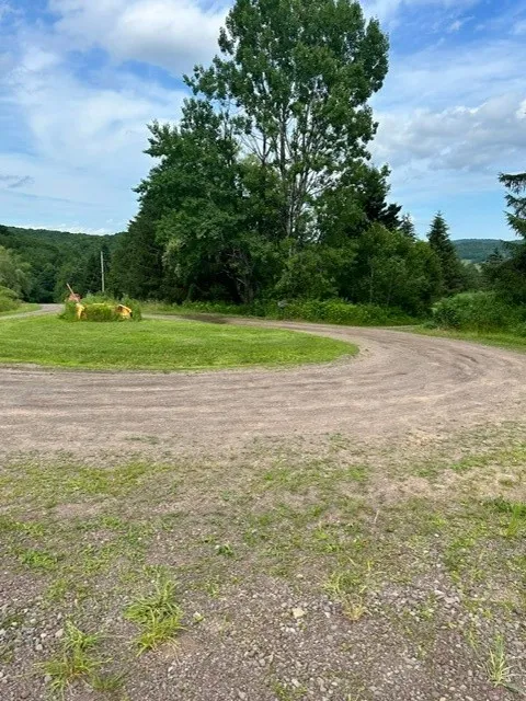 85 Crawford Road, Hamden, New York 13782, Hamden, New York 13782, ,Land,For Sale,85 Crawford Road, Hamden, New York 13782,R1619396