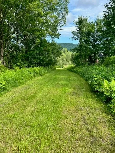85 Crawford Road, Hamden, New York 13782, Hamden, New York 13782, ,Land,For Sale,85 Crawford Road, Hamden, New York 13782,R1619396
