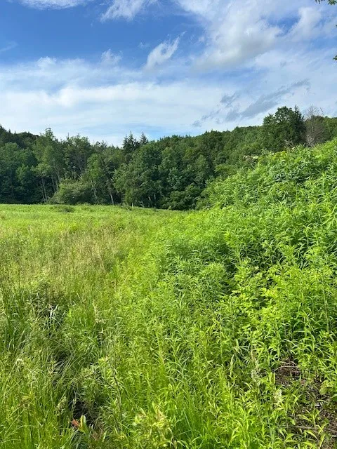 85 Crawford Road, Hamden, New York 13782, Hamden, New York 13782, ,Land,For Sale,85 Crawford Road, Hamden, New York 13782,R1619396