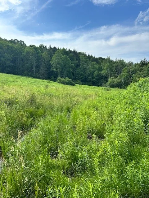 85 Crawford Road, Hamden, New York 13782, Hamden, New York 13782, ,Land,For Sale,85 Crawford Road, Hamden, New York 13782,R1619396