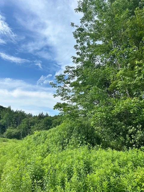 85 Crawford Road, Hamden, New York 13782, Hamden, New York 13782, ,Land,For Sale,85 Crawford Road, Hamden, New York 13782,R1619396