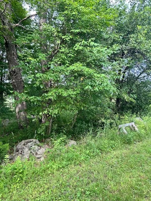85 Crawford Road, Hamden, New York 13782, Hamden, New York 13782, ,Land,For Sale,85 Crawford Road, Hamden, New York 13782,R1619396