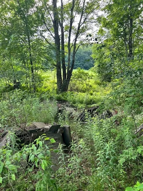 85 Crawford Road, Hamden, New York 13782, Hamden, New York 13782, ,Land,For Sale,85 Crawford Road, Hamden, New York 13782,R1619396