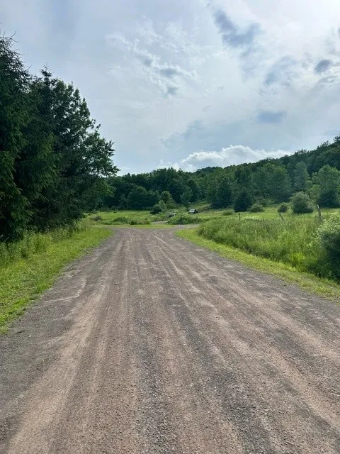 85 Crawford Road, Hamden, New York 13782, Hamden, New York 13782, ,Land,For Sale,85 Crawford Road, Hamden, New York 13782,R1619396
