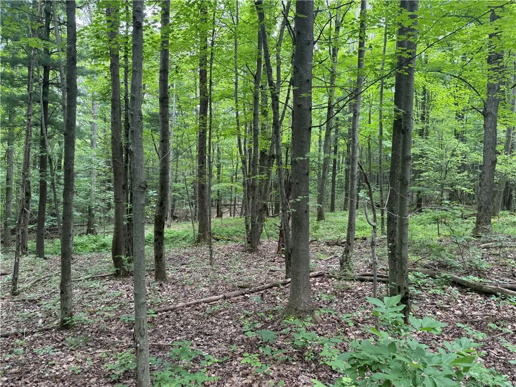 10549 Short Tract Road, Portage, New York 14517, Portage, New York 14517, 1 Room Rooms,Land,For Sale,10549 Short Tract Road, Portage, New York 14517,R1623310