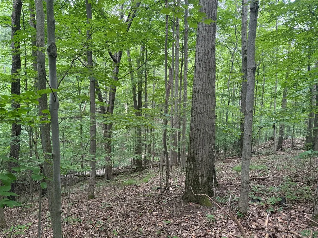 10549 Short Tract Road, Portage, New York 14517, Portage, New York 14517, 1 Room Rooms,Land,For Sale,10549 Short Tract Road, Portage, New York 14517,R1623310