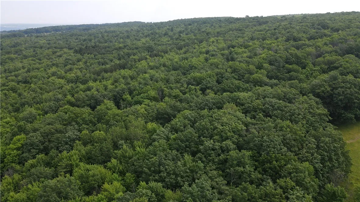 10549 Short Tract Road, Portage, New York 14517, Portage, New York 14517, 1 Room Rooms,Land,For Sale,10549 Short Tract Road, Portage, New York 14517,R1623310