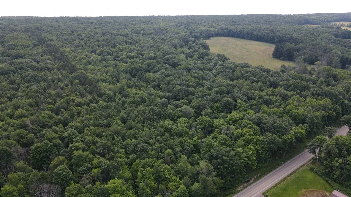 10549 Short Tract Road, Portage, New York 14517, Portage, New York 14517, 1 Room Rooms,Land,For Sale,10549 Short Tract Road, Portage, New York 14517,R1623310