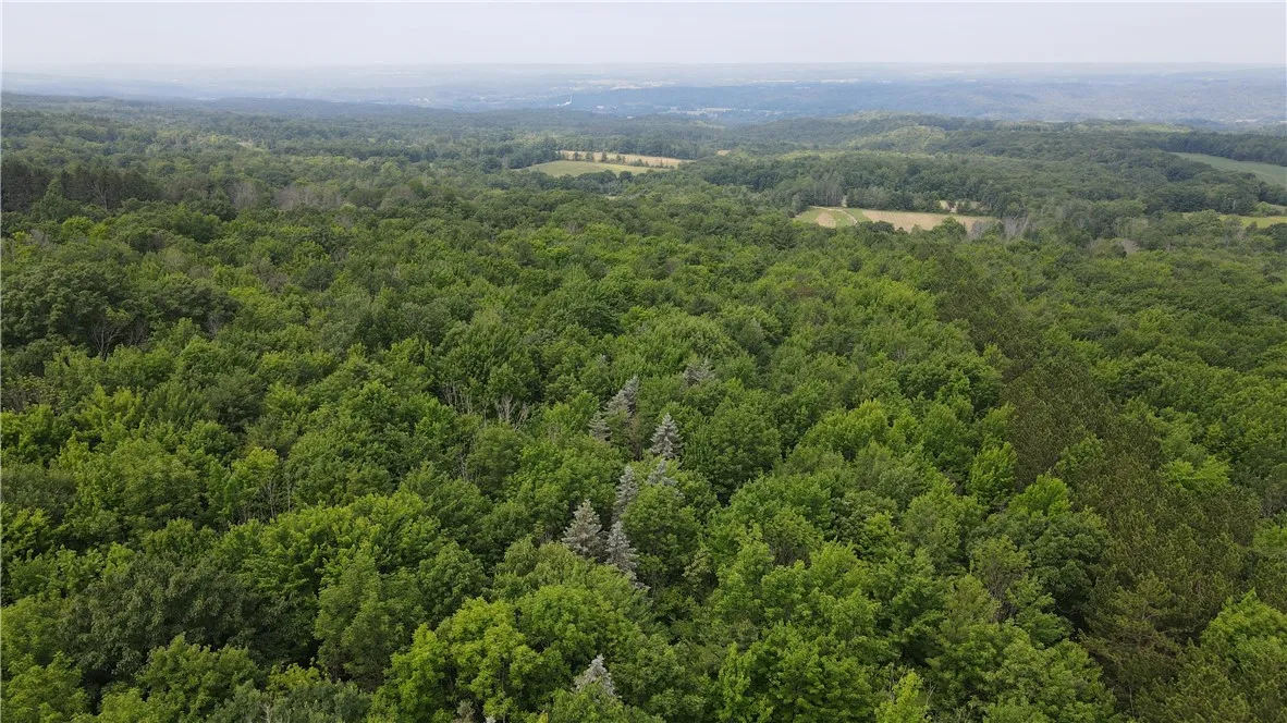 10549 Short Tract Road, Portage, New York 14517, Portage, New York 14517, 1 Room Rooms,Land,For Sale,10549 Short Tract Road, Portage, New York 14517,R1623310