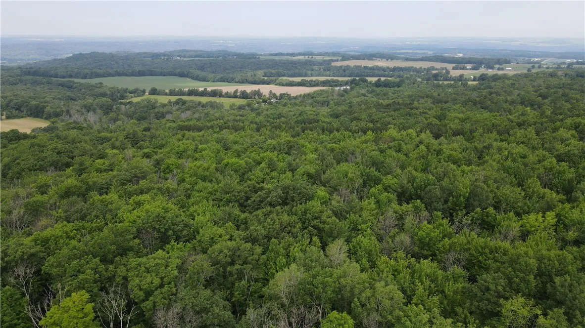 10549 Short Tract Road, Portage, New York 14517, Portage, New York 14517, 1 Room Rooms,Land,For Sale,10549 Short Tract Road, Portage, New York 14517,R1623310