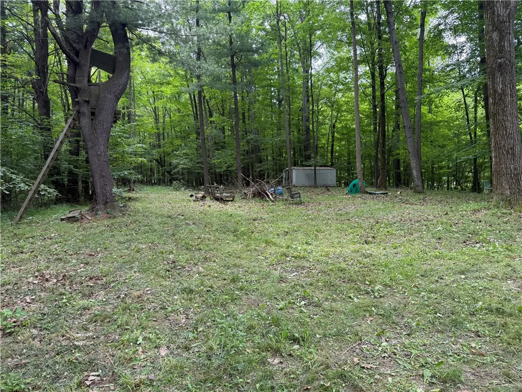 10549 Short Tract Road, Portage, New York 14517, Portage, New York 14517, 1 Room Rooms,Land,For Sale,10549 Short Tract Road, Portage, New York 14517,R1623310
