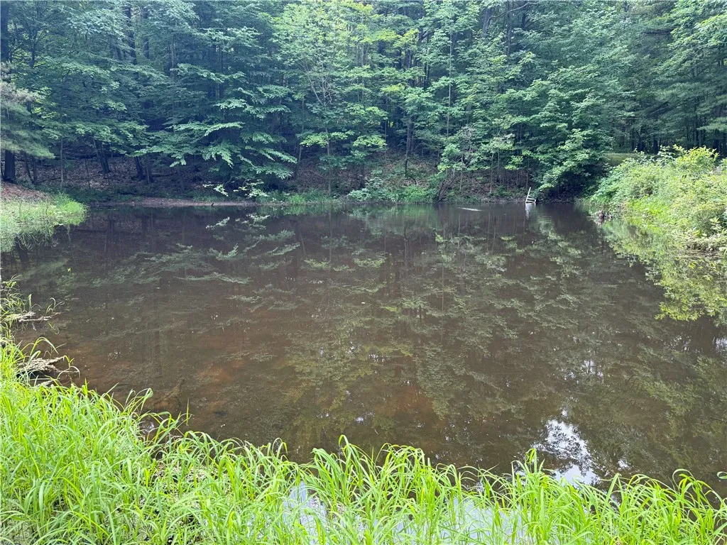 10549 Short Tract Road, Portage, New York 14517, Portage, New York 14517, 1 Room Rooms,Land,For Sale,10549 Short Tract Road, Portage, New York 14517,R1623310