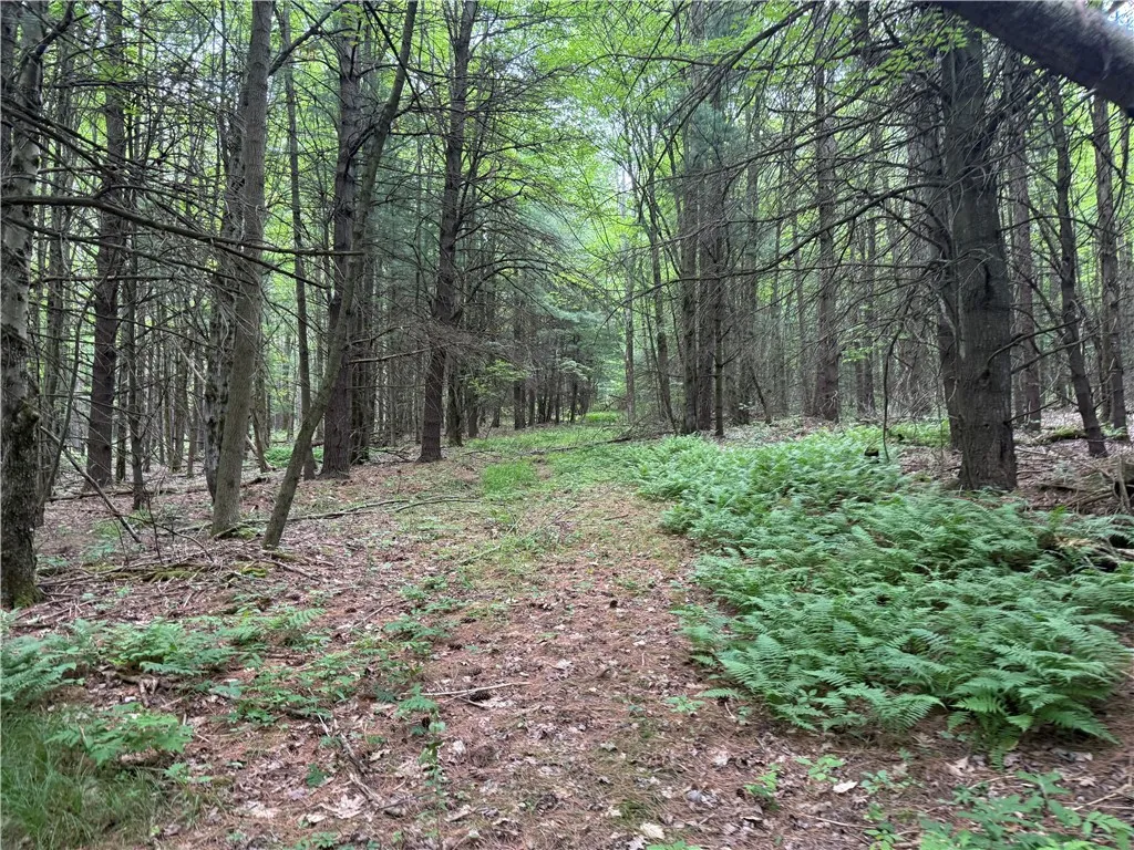 10549 Short Tract Road, Portage, New York 14517, Portage, New York 14517, 1 Room Rooms,Land,For Sale,10549 Short Tract Road, Portage, New York 14517,R1623310