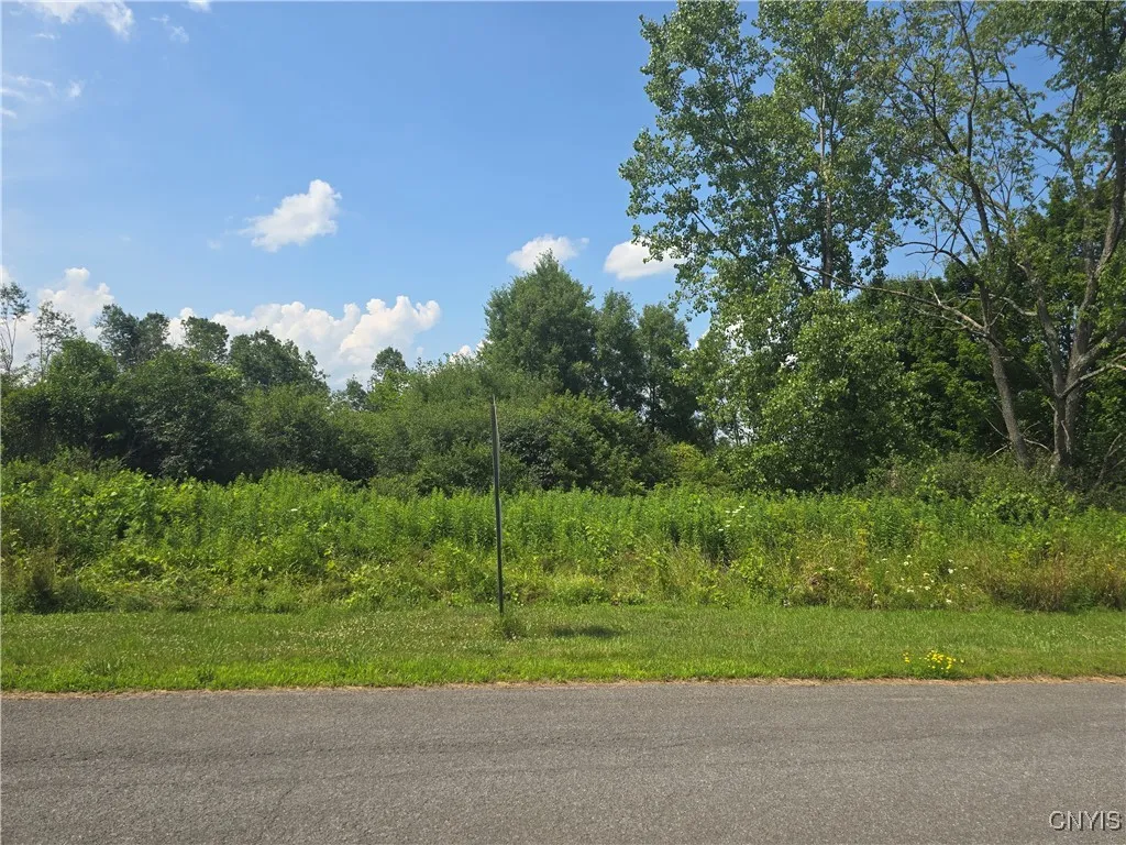 000 Lamphear Road, Rome, New York 13440, Rome, New York 13440, ,Land,For Sale,000 Lamphear Road, Rome, New York 13440,S1623119