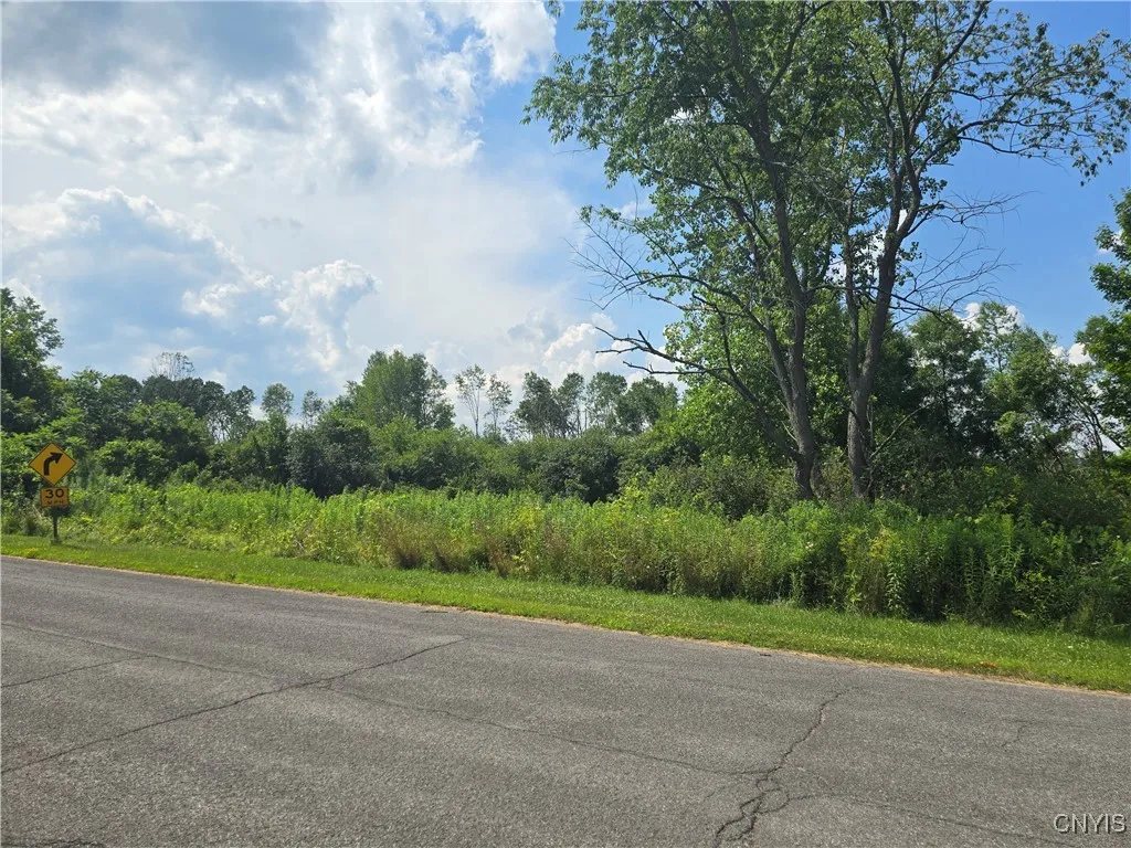 000 Lamphear Road, Rome, New York 13440, Rome, New York 13440, ,Land,For Sale,000 Lamphear Road, Rome, New York 13440,S1623119