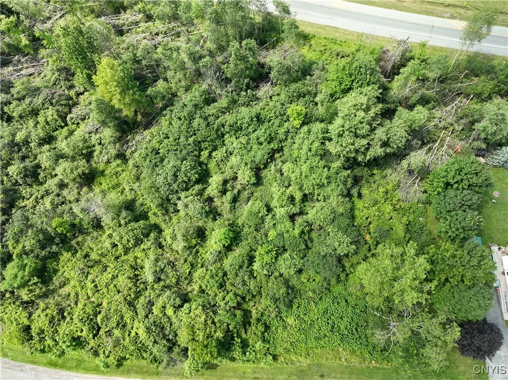 000 Lamphear Road, Rome, New York 13440, Rome, New York 13440, ,Land,For Sale,000 Lamphear Road, Rome, New York 13440,S1623119