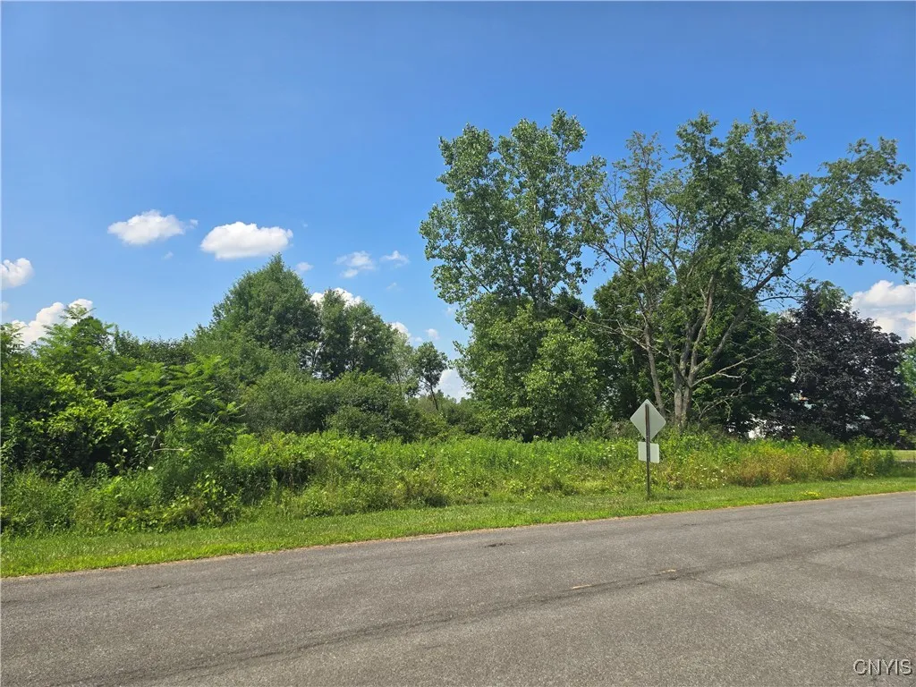 000 Lamphear Road, Rome, New York 13440, Rome, New York 13440, ,Land,For Sale,000 Lamphear Road, Rome, New York 13440,S1623119