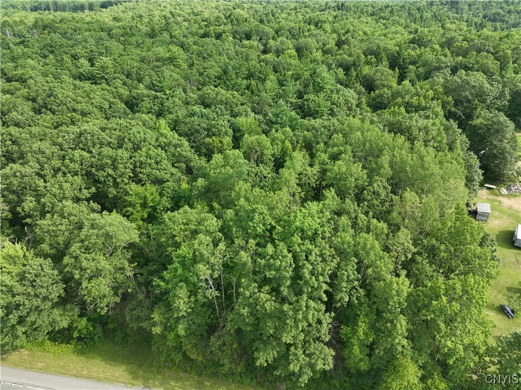 0 Rome Taberg Road, Annsville, New York 13471, Annsville, New York 13471, ,Land,For Sale,0 Rome Taberg Road, Annsville, New York 13471,S1623109