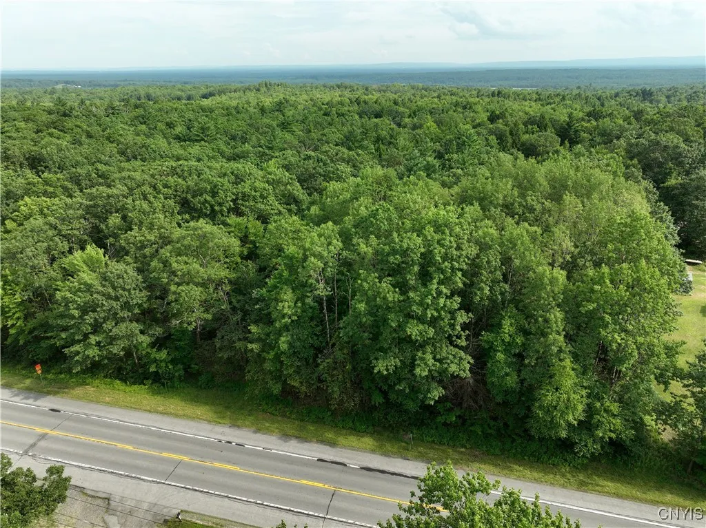 0 Rome Taberg Road, Annsville, New York 13471, Annsville, New York 13471, ,Land,For Sale,0 Rome Taberg Road, Annsville, New York 13471,S1623109
