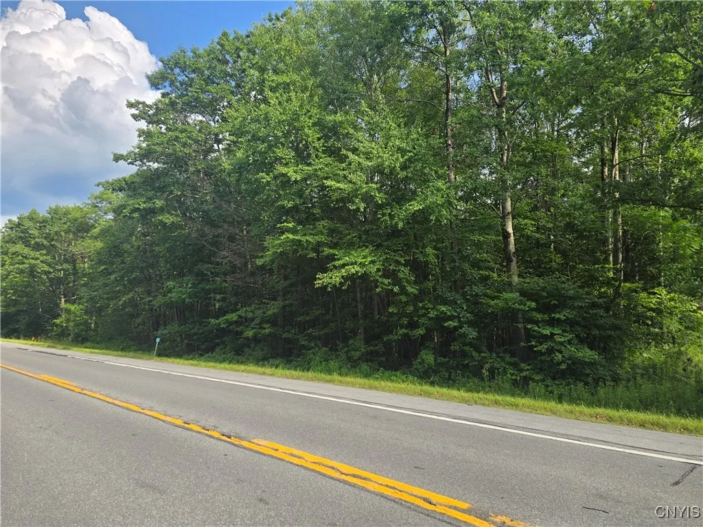 0 Rome Taberg Road, Annsville, New York 13471, Annsville, New York 13471, ,Land,For Sale,0 Rome Taberg Road, Annsville, New York 13471,S1623109