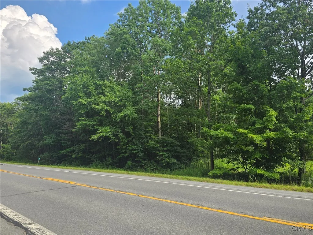 0 Rome Taberg Road, Annsville, New York 13471, Annsville, New York 13471, ,Land,For Sale,0 Rome Taberg Road, Annsville, New York 13471,S1623109