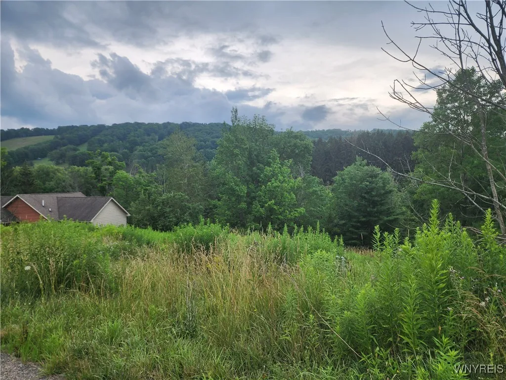 6843 Springs Road, Ellicottville, New York 14731, Ellicottville, New York 14731, ,Land,For Sale,6843 Springs Road, Ellicottville, New York 14731,B1623159
