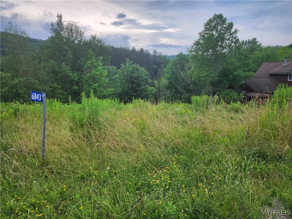 6843 Springs Road, Ellicottville, New York 14731, Ellicottville, New York 14731, ,Land,For Sale,6843 Springs Road, Ellicottville, New York 14731,B1623159
