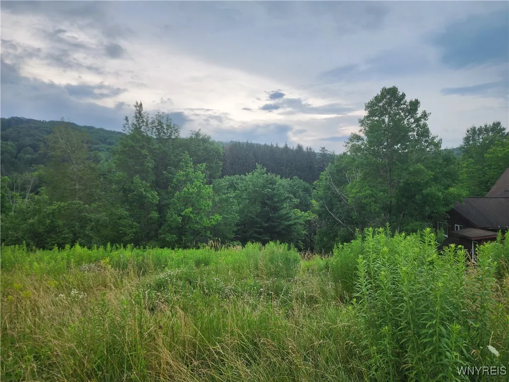 6843 Springs Road, Ellicottville, New York 14731, Ellicottville, New York 14731, ,Land,For Sale,6843 Springs Road, Ellicottville, New York 14731,B1623159