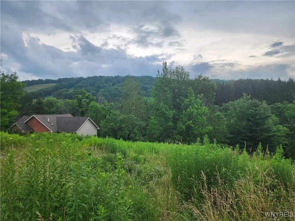 6843 Springs Road, Ellicottville, New York 14731, Ellicottville, New York 14731, ,Land,For Sale,6843 Springs Road, Ellicottville, New York 14731,B1623159
