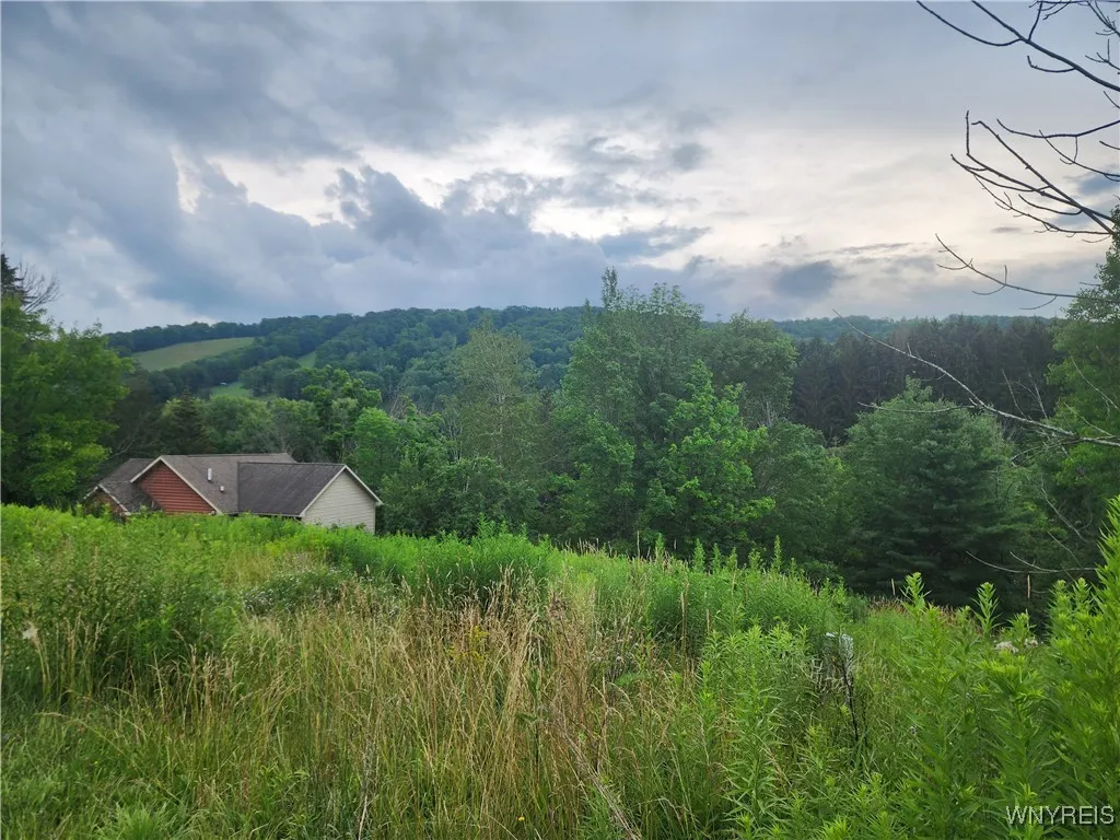 6843 Springs Road, Ellicottville, New York 14731, Ellicottville, New York 14731, ,Land,For Sale,6843 Springs Road, Ellicottville, New York 14731,B1623159