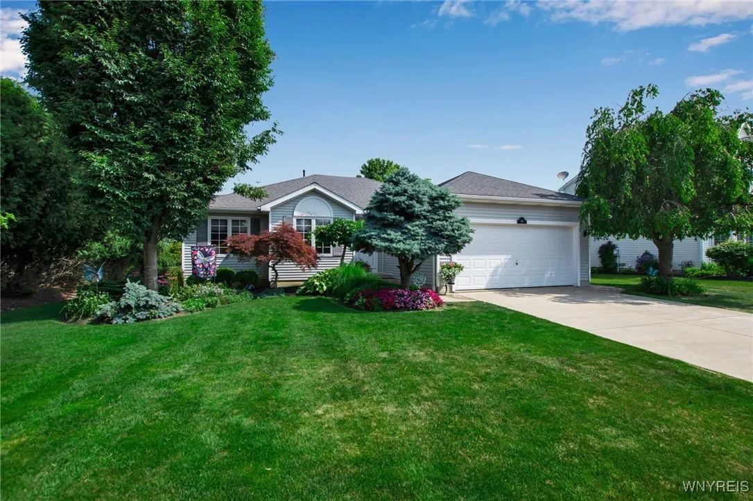 Amazing yard
