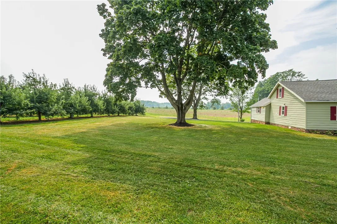 3456 Shepherd Road, Williamson, New York 14589, Williamson, New York 14589, 3 Bedrooms Bedrooms, 6 Rooms Rooms,1 BathroomBathrooms,Residential,For Sale,3456 Shepherd Road, Williamson, New York 14589,R1620184