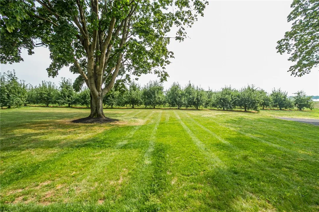 3456 Shepherd Road, Williamson, New York 14589, Williamson, New York 14589, 3 Bedrooms Bedrooms, 6 Rooms Rooms,1 BathroomBathrooms,Residential,For Sale,3456 Shepherd Road, Williamson, New York 14589,R1620184
