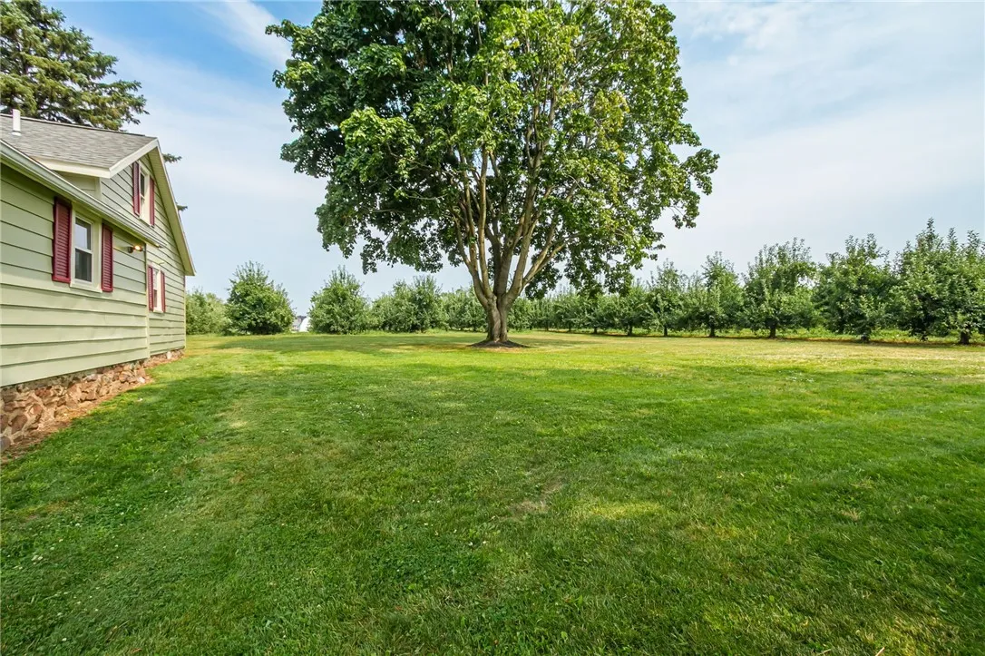 Private yard