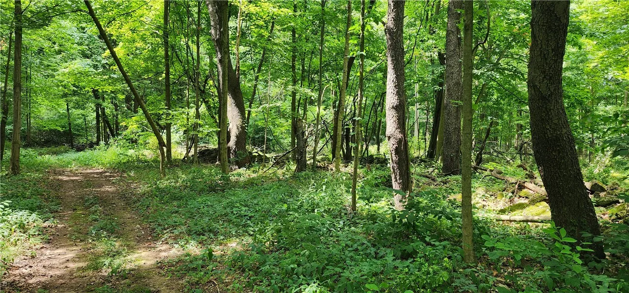 00 Hulberton Road, Murray, New York 14470, Murray, New York 14470, ,Land,Closed,00 Hulberton Road, Murray, New York 14470,0,R1623003