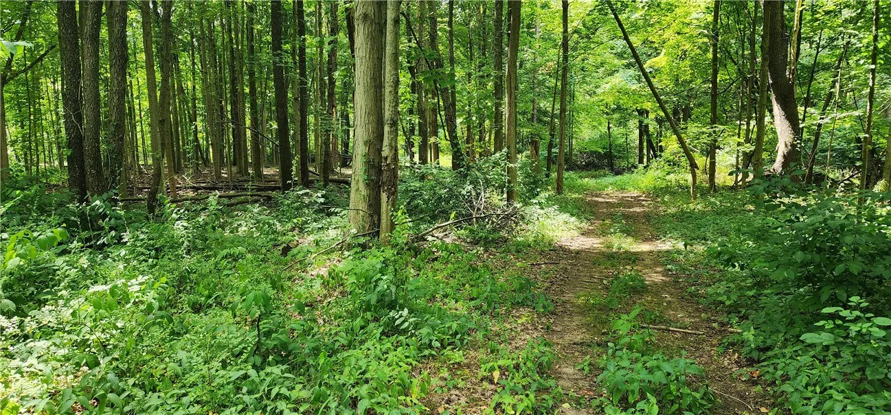 00 Hulberton Road, Murray, New York 14470, Murray, New York 14470, ,Land,Closed,00 Hulberton Road, Murray, New York 14470,0,R1623003