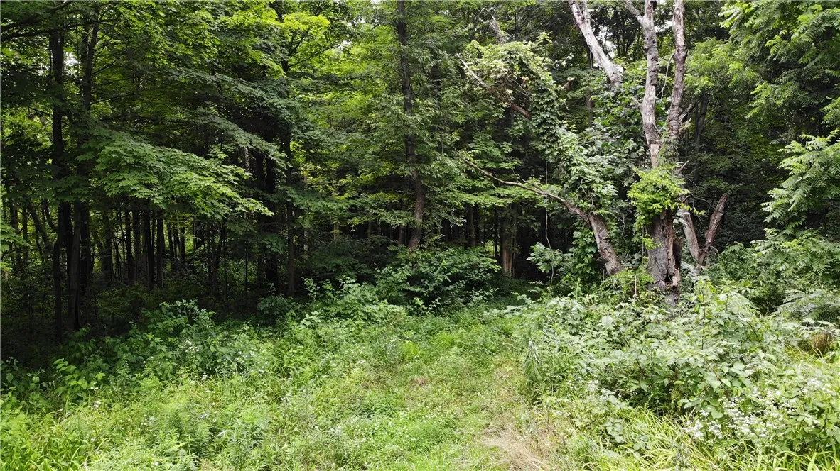 00 Hulberton Road, Murray, New York 14470, Murray, New York 14470, ,Land,Closed,00 Hulberton Road, Murray, New York 14470,0,R1623003