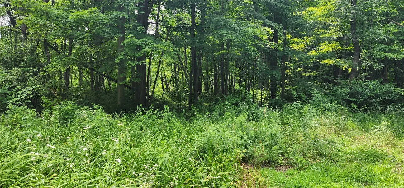 00 Hulberton Road, Murray, New York 14470, Murray, New York 14470, ,Land,Closed,00 Hulberton Road, Murray, New York 14470,0,R1623003