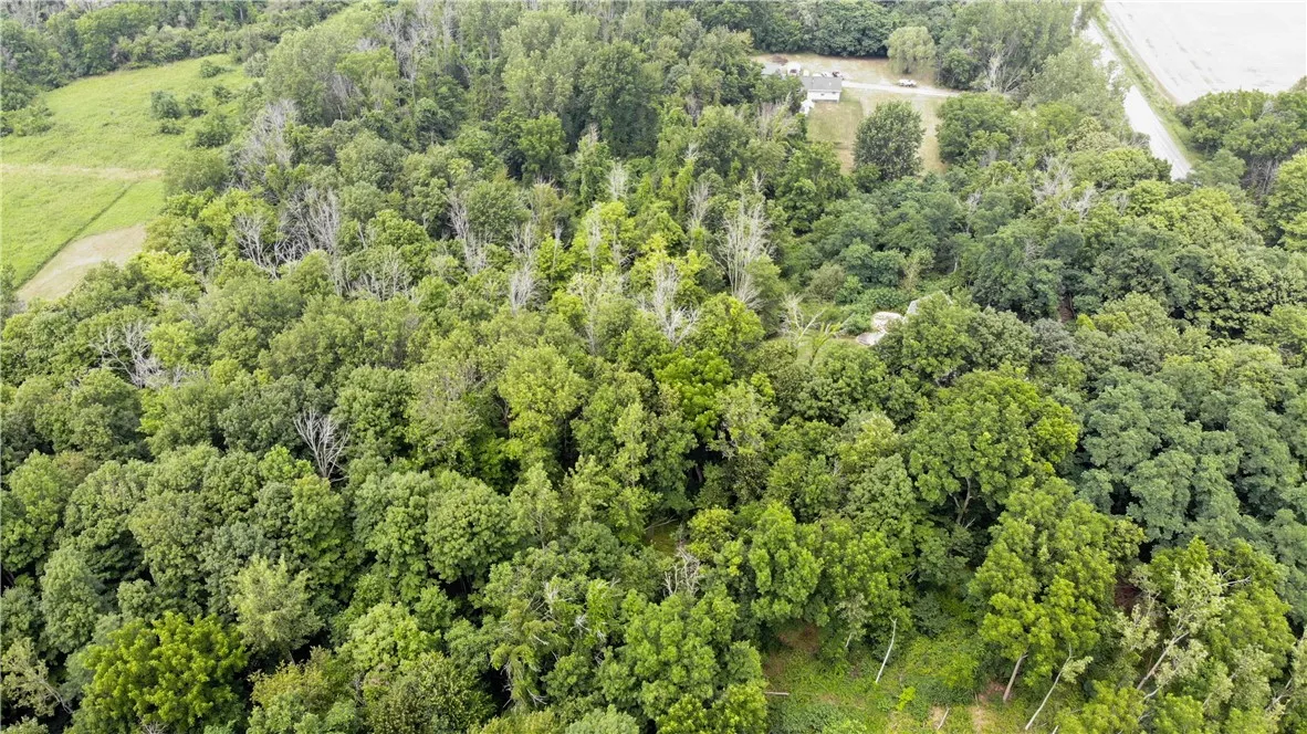 00 Hulberton Road, Murray, New York 14470, Murray, New York 14470, ,Land,Closed,00 Hulberton Road, Murray, New York 14470,0,R1623003