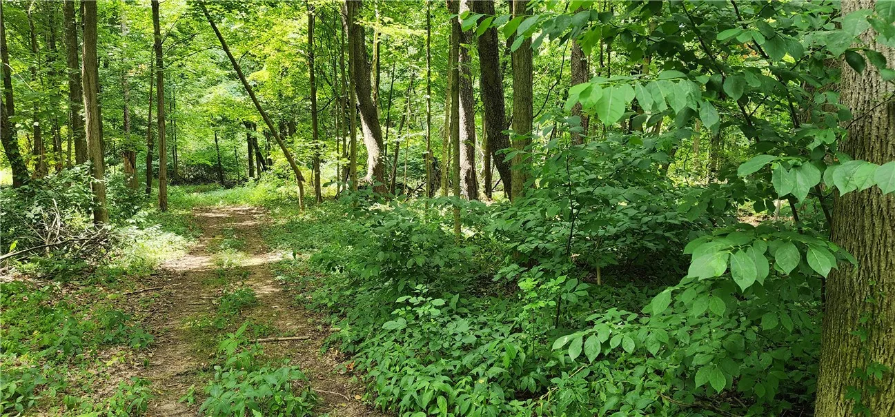 00 Hulberton Road, Murray, New York 14470, Murray, New York 14470, ,Land,Closed,00 Hulberton Road, Murray, New York 14470,0,R1623003