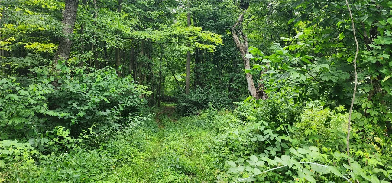 00 Hulberton Road, Murray, New York 14470, Murray, New York 14470, ,Land,Closed,00 Hulberton Road, Murray, New York 14470,0,R1623003