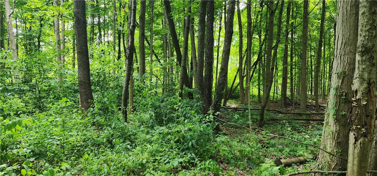 00 Hulberton Road, Murray, New York 14470, Murray, New York 14470, ,Land,Closed,00 Hulberton Road, Murray, New York 14470,0,R1623003