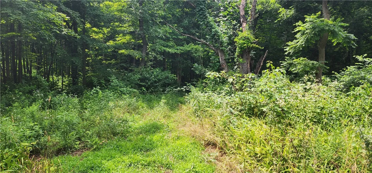 00 Hulberton Road, Murray, New York 14470, Murray, New York 14470, ,Land,Closed,00 Hulberton Road, Murray, New York 14470,0,R1623003