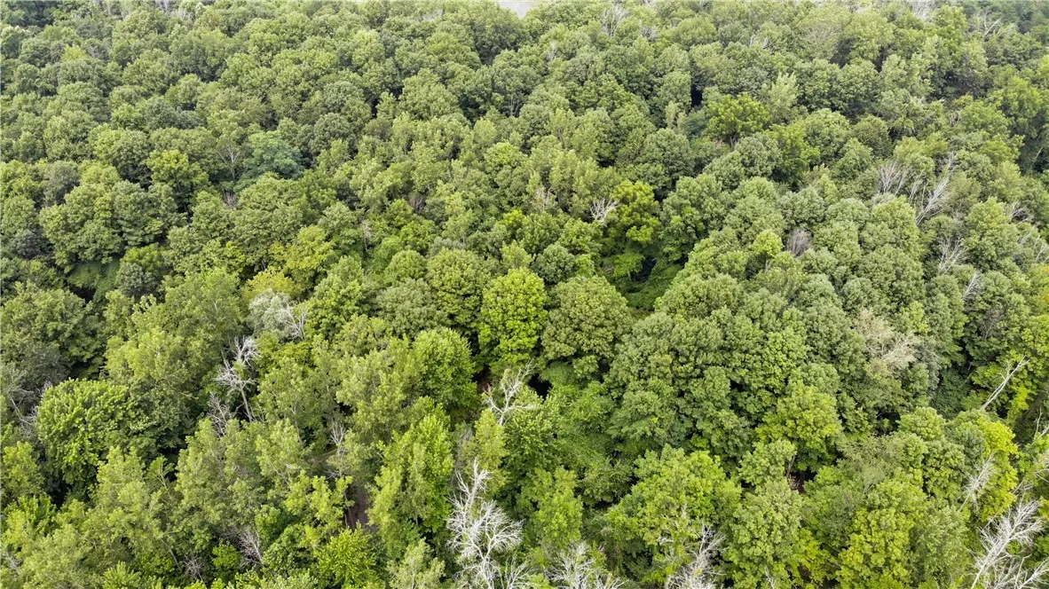 00 Hulberton Road, Murray, New York 14470, Murray, New York 14470, ,Land,Closed,00 Hulberton Road, Murray, New York 14470,0,R1623003