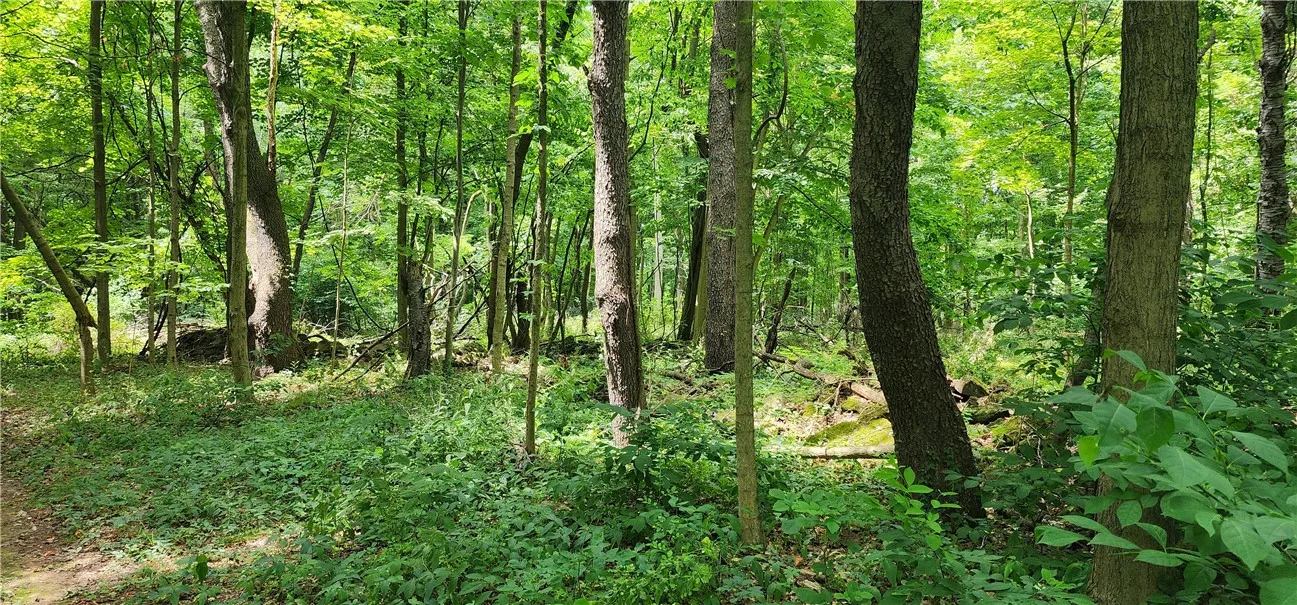 00 Hulberton Road, Murray, New York 14470, Murray, New York 14470, ,Land,Closed,00 Hulberton Road, Murray, New York 14470,0,R1623003