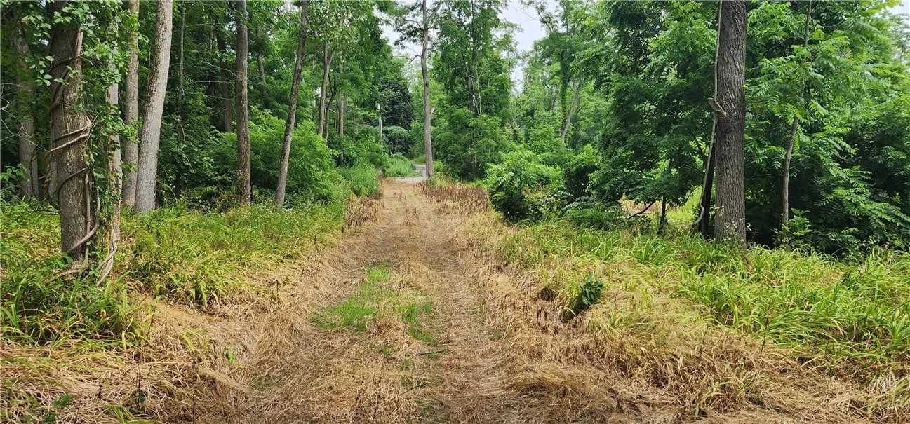 00 Hulberton Road, Murray, New York 14470, Murray, New York 14470, ,Land,Closed,00 Hulberton Road, Murray, New York 14470,0,R1623003