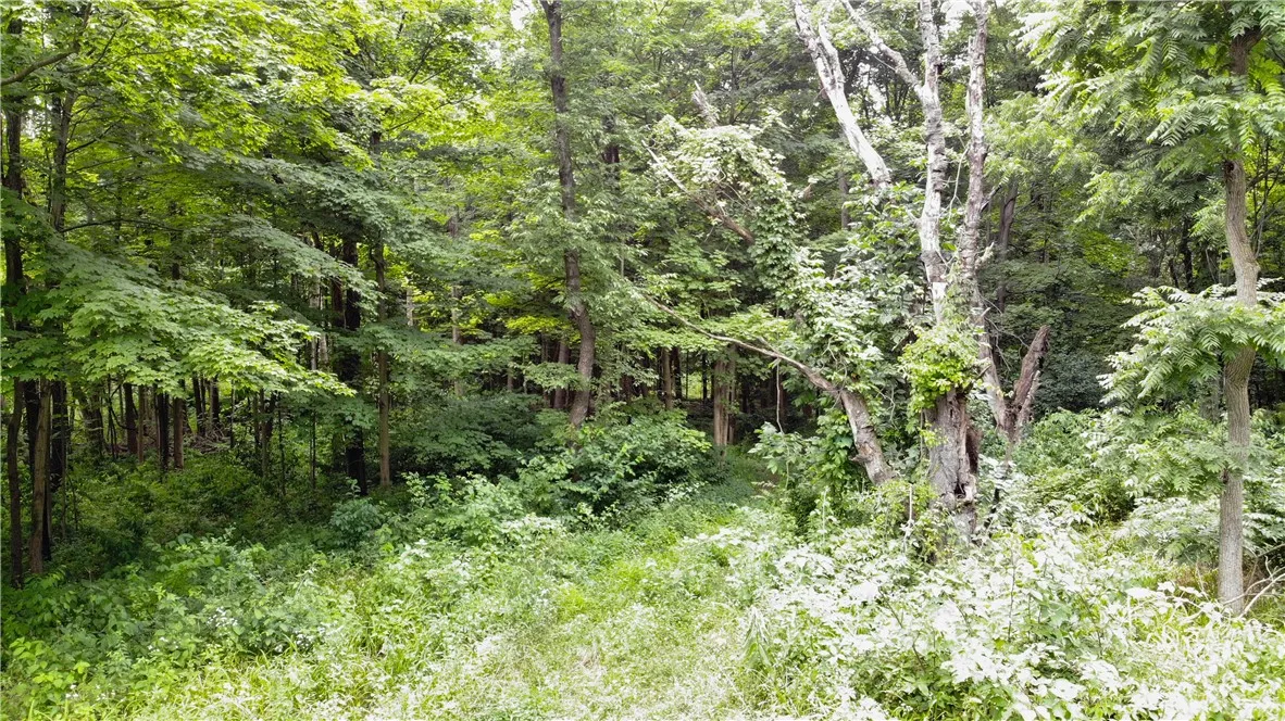 00 Hulberton Road, Murray, New York 14470, Murray, New York 14470, ,Land,Closed,00 Hulberton Road, Murray, New York 14470,0,R1623003